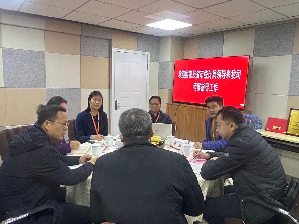 国家及省市统计局领导莅临维思咨询调研指导